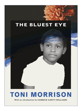 英文原版小说 The Bluest Eye 最蓝的眼睛 Vintage托妮·莫里森经典系列 英文版 进口英语原版书籍