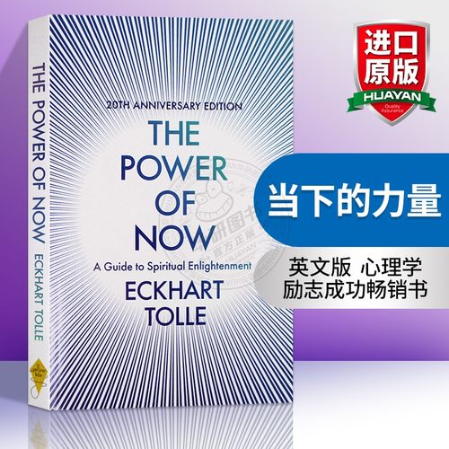 当下的力量英文原版进口书