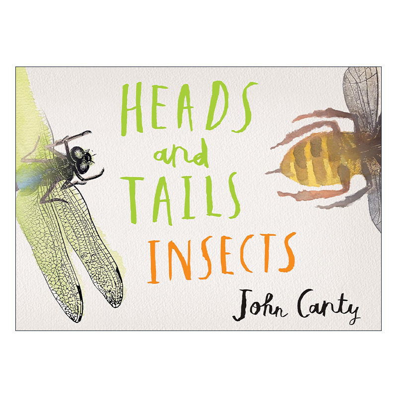 英文原版 Heads and Tails Insects 头部和尾部 儿童精装昆虫主题启蒙认知绘本 反义词 John Canty 英文版 进口英语原版书籍
