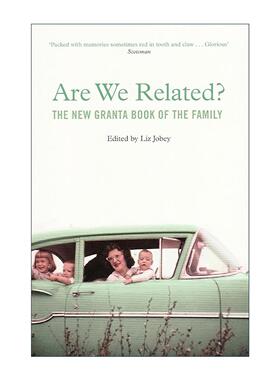 英文原版 Are We Related 我们是亲人吗 格兰塔文学杂志 家庭关系文学集 多丽丝莱辛 奥尔罕帕慕克 保罗索鲁等 进口英语原版书籍