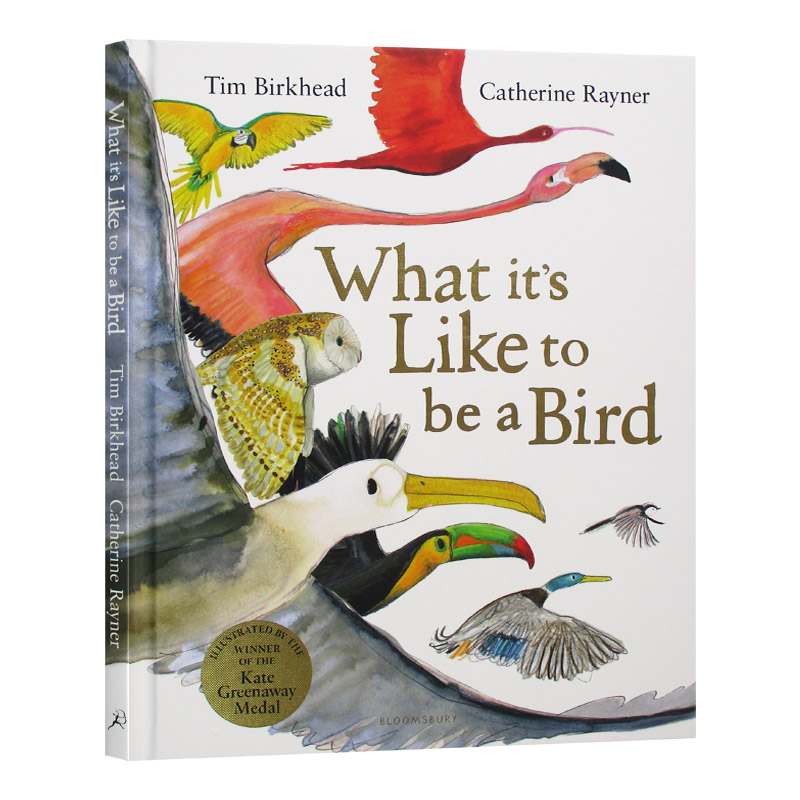 当一只鸟是什么感觉 英文原版小说 What it's Like to be a Bird 蒂姆·伯克黑德 凯特·格林纳威奖插画师凯瑟琳·雷纳 进口英语书