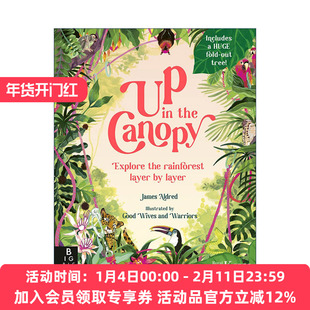 英文原版 Up in the Canopy 树冠上的风景 逐层探索雨林 邱园英国皇家植物园联合出版 儿童精装科普百科绘本 进口英语原版书籍