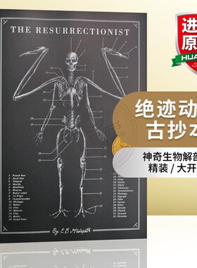 盗尸者 英文原版 The Resurrectionist 神话中野兽艺用解剖书籍 绝迹动物古抄本英文版 神兽精细解剖 骨骼解剖绘图 神话怪物再生论