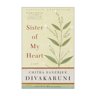英文原版 Sister of My Heart 我心姐妹 香料情妇作者Chitra Banerjee Divakaruni英文版 进口英语原版书籍