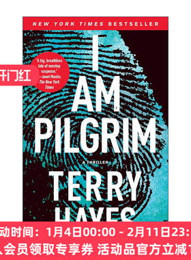 英文原版 I Am Pilgrim 朝圣者 悬疑故事  泰瑞·海耶斯 英文版 进口英语原版书籍