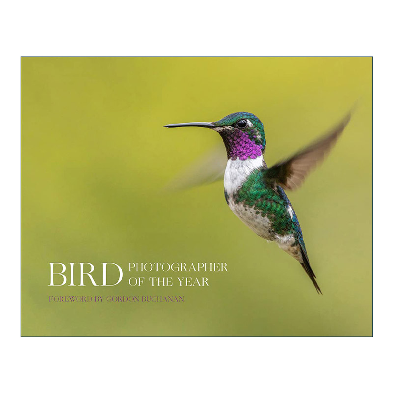 英文原版 Bird Photographer of the Year Collection 8 世界鸟类摄影比赛 精装野生鸟类图册 英文版 进口英语原版书籍