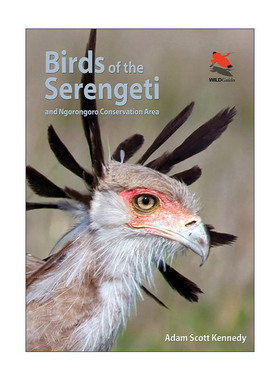 英文原版 Birds of the Serengeti 塞伦盖蒂鸟类指南 恩戈罗恩戈罗自然保护区 普林斯顿野生动物探险家指南 Adam Scott Kennedy