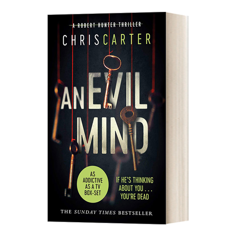 英文原版小说 An Evil Mind 邪恶头脑 连环凶杀案侦探系列#6 英文版 进口英语原版书籍