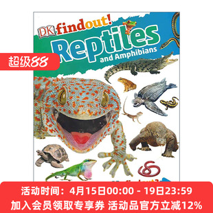 英文原版 DK Findout! Reptiles and Amphibians DK小发现系列 爬行动物和两栖动物 儿童科普百科读物 英文版 进口英语原版书籍
