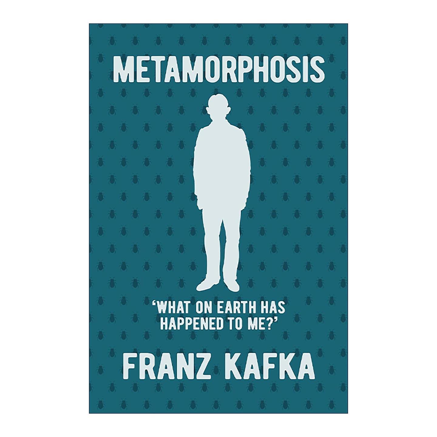 英文原版 Metamorphosis 卡夫卡 变形记 Arcturus精装经典系列 英文版 进口英语原版书籍