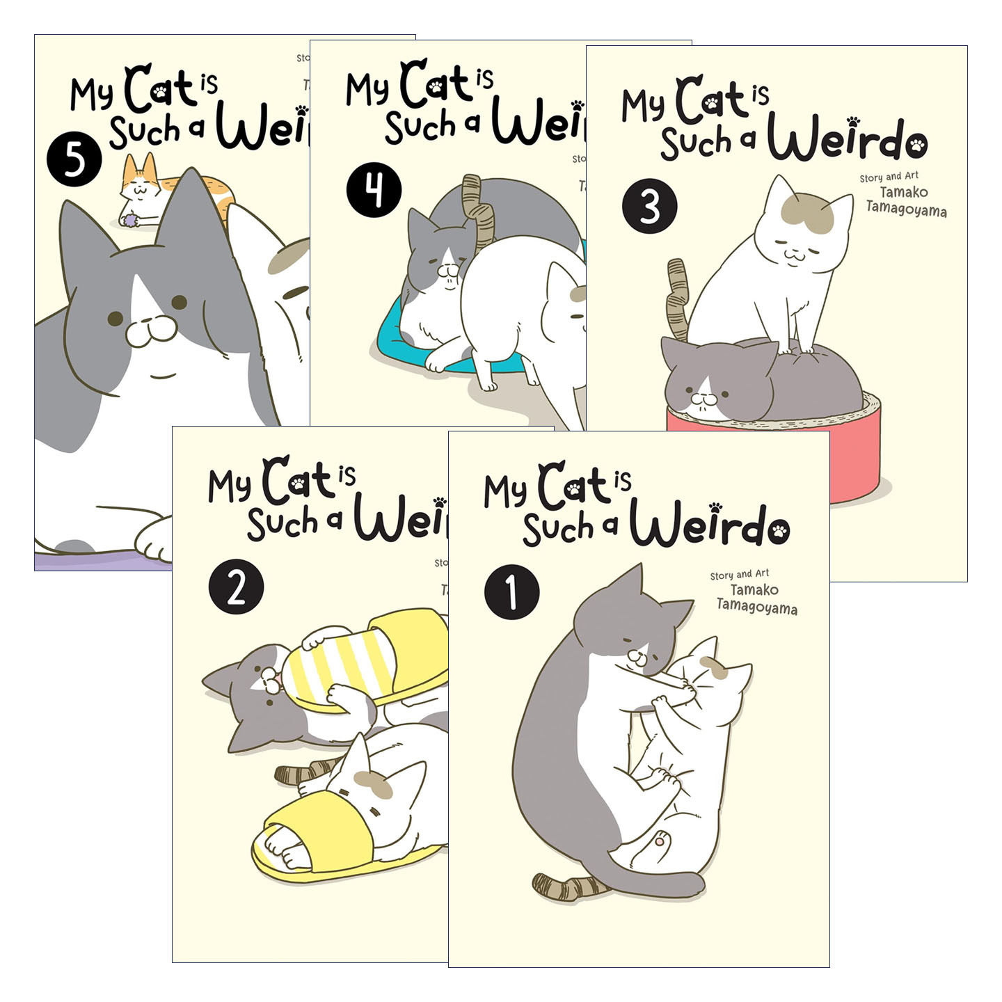 英文原版 My Cat is Such a Weirdo Vol 我家的猫又在干怪事了1-5册 治愈宠物漫画 英文版 进口英语原版书籍