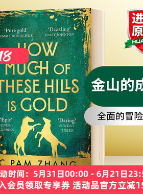 金山的成色 英文原版小说 How Much of These Hills is Gold 华裔作家张辰极 2020英国布克奖长名单 英文版 进口英语原版书籍