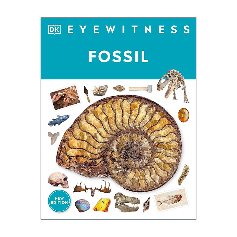 英文原版 DK Eyewitness Fossil 目击者系列 化石 第二版 儿童科普百科 英文版 进口英语原版书籍