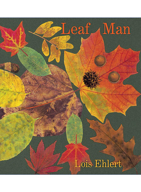 英文原版 Leaf Man Board Book 叶子先生 纸板书 凯迪克奖得主洛伊丝艾勒特 英文版 进口英语原版书籍