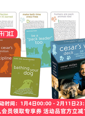 英文原版 Cesar's Way Deck 训练和理解你的狗的50个技巧 Cesar Millan 英文版 进口英语原版书籍