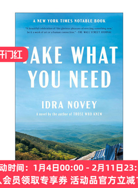 英文原版 Take What You Need 拿走你要的 女性小说 Idra Novey 英文版 进口英语原版书籍