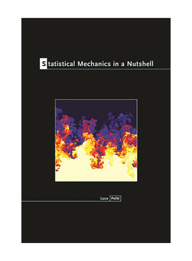 简明统计力学 经典物理学  英文原版Statistical Mechanics in a Nutshell普林斯顿大学出版社Luca Peliti 精装英文版进口英语书籍