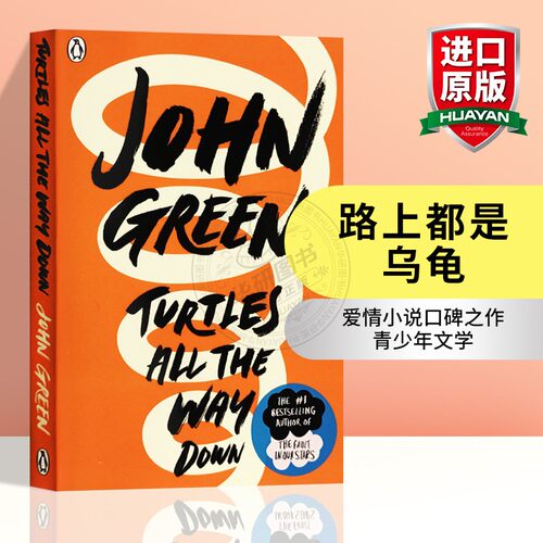 爱情小说口碑之作 青少年文学