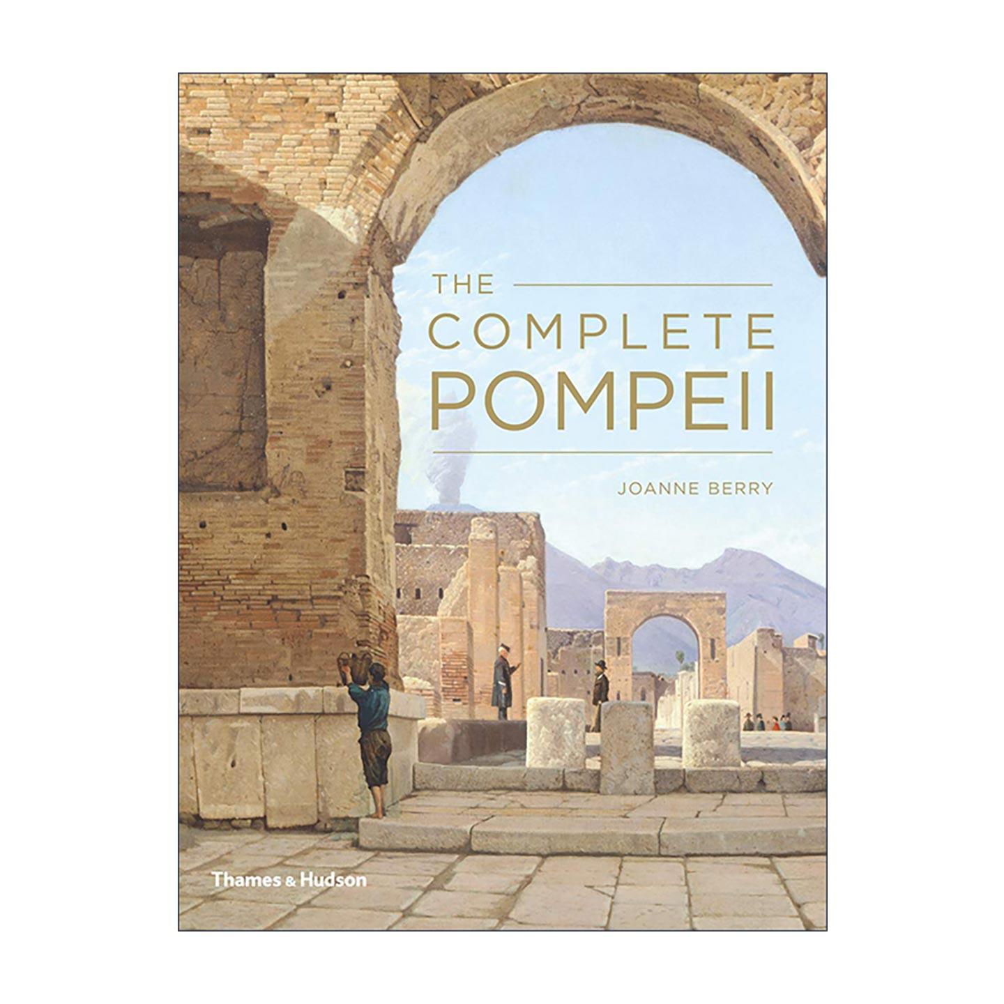 英文原版 The Complete Pompeii 完整的庞贝古城 人文历史 英文版 进口英语原版书籍