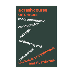 关于上升 Crises 英文原版 崩溃和复苏 Course 普林斯顿大学教授Markus Crash Brunnermeier 宏观经济概念 危机速成班