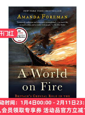 英文原版 A World on Fire 燃烧的世界 英国在美国内战中的关键作用 历史 Amanda Foreman 英文版 进口英语原版书籍
