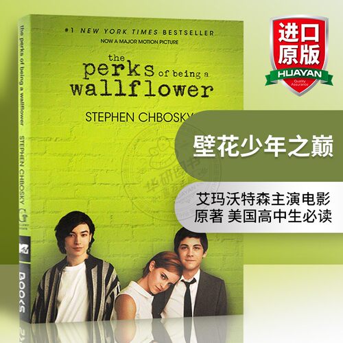 正版原版小说壁花少年之巅