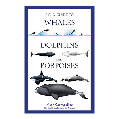 鲸鱼  英文原版 Field Guide to Whales Dolphins and Porpoises 海豚 鼠海豚野外指南 英文版 进口英语原版书籍