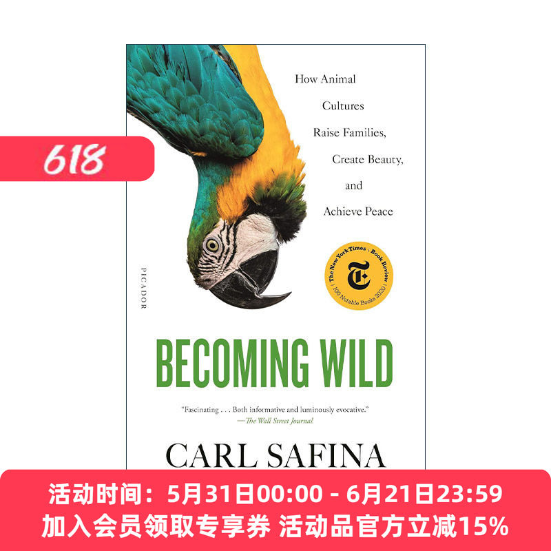 英文原版 Becoming Wild 野化 动物文化中它们如何扶持家庭 创造美 赢得和平 生态学家Carl Safina 英文版 进口英语原版书籍
