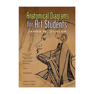 英文原版 Anatomical Diagrams for Art Students 给艺术生的解剖图 绘画实用插图指南 人体骨骼与肌肉 英文版 进口英语原版书籍