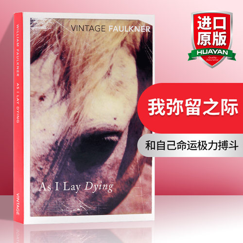 我弥留之际英文原版小说