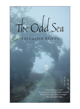 英文原版 The Odd Sea 奇异海 Frederick Reiken 英文版 进口英语原版书籍