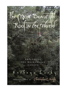 英文原版 The Most Beautiful Roof in the World 世界上最美丽的屋顶 行走在雨林树冠层 纽伯瑞奖作者 英文版 进口英语原版书籍