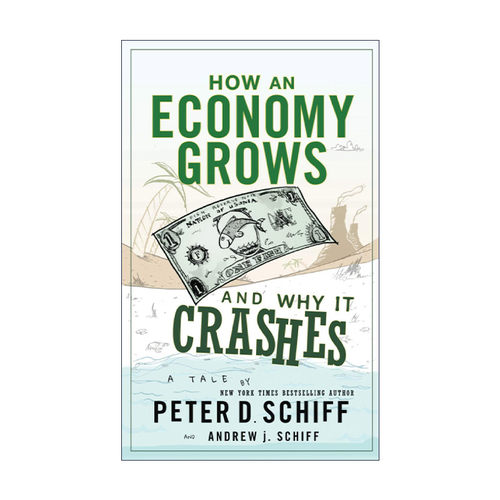 英文原版 How an Economy Grows and Why It Crashes 小岛经济学 鱼、美元和经济的故事 精装 英文版 进口英语原版书籍
