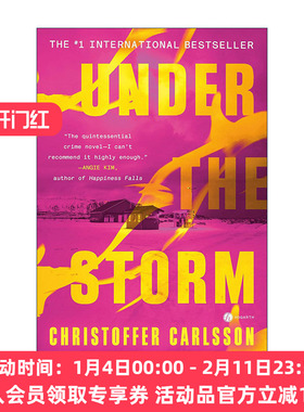 英文原版 Under the Storm 风暴之下 推理悬疑小说 Christoffer Carlsson 英文版 进口英语原版书籍
