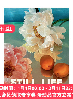 英文原版 Still Life Notecards 20张记事卡和信封 Doan Ly摄影作品卡 英文版 进口英语原版