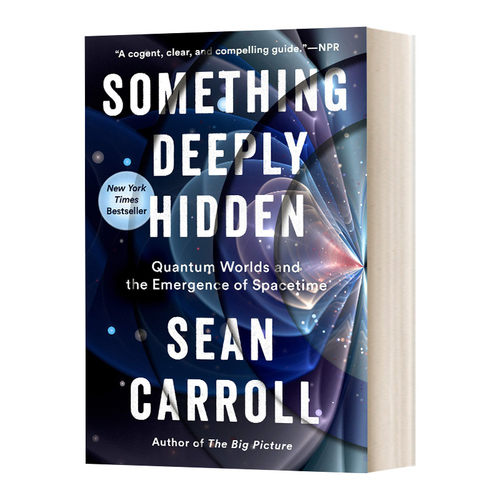 深藏之物 英文原版 Something Deeply Hidden 量子世界和时空的出现 英文版 进口英语原版书籍