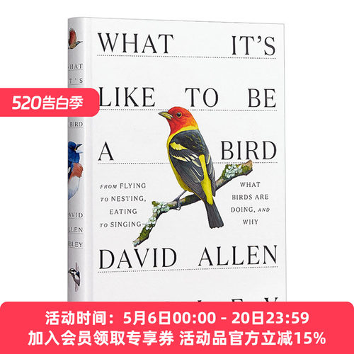 华研原版 何以为鸟 英文原版 What It's Like to Be a Bird 西布利的鸟类世界 观鸟指南 精装 David Allen Sibley 进口英语书籍