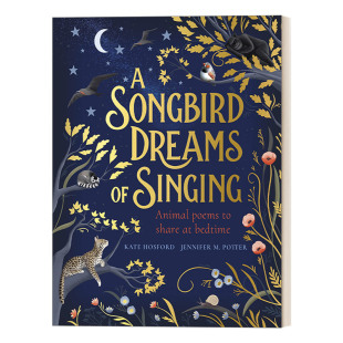 英文版 书籍 Dreams 歌鸟梦里在吟唱 动物睡觉在做什么 Singing Songbird 进口英语原版 英文原版 儿童插画诗集