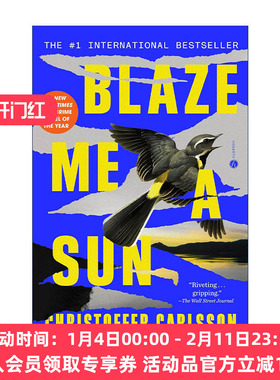 英文原版 Blaze Me a Sun 为我点燃太阳 犯罪悬疑小说 Christoffer Carlsson 英文版 进口英语原版书籍