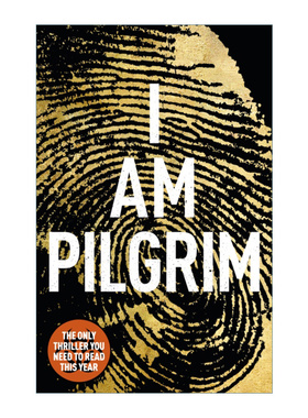 英文原版小说 I Am Pilgrim 朝圣者 泰瑞·海耶斯 英文版 进口英语原版书籍