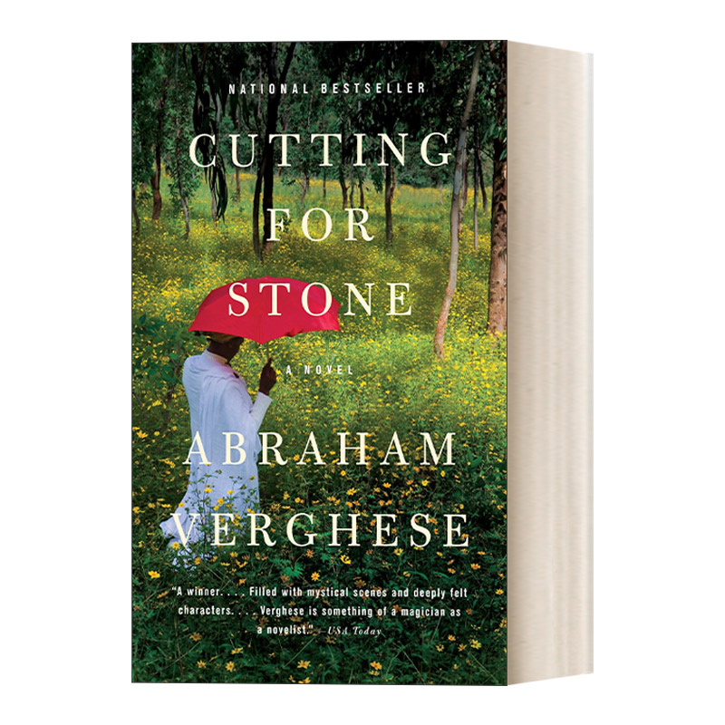 英文原版斯通，与另一个斯通