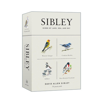 英文原版 Sibley Birds of Land Sea and Sky 50 Postcards 西布利观鸟鸟类明信片 海陆空三大类 水彩绘画 经典送礼纪念品盒