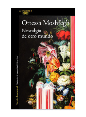 原版 Nostalgia de otro mundo Homesick for Another World 对另一个世界的想念 西班牙版 短篇小说集 奥蒂萨·莫什菲 进口书籍