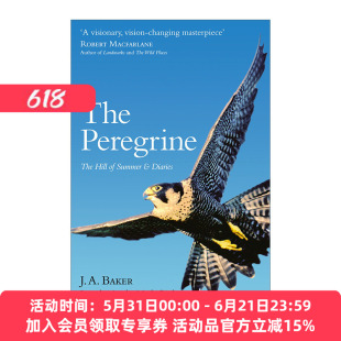 游隼  英文原版 The Peregrine 夏日山间 J.A.贝克自然文学集 英文版 进口英语原版书籍