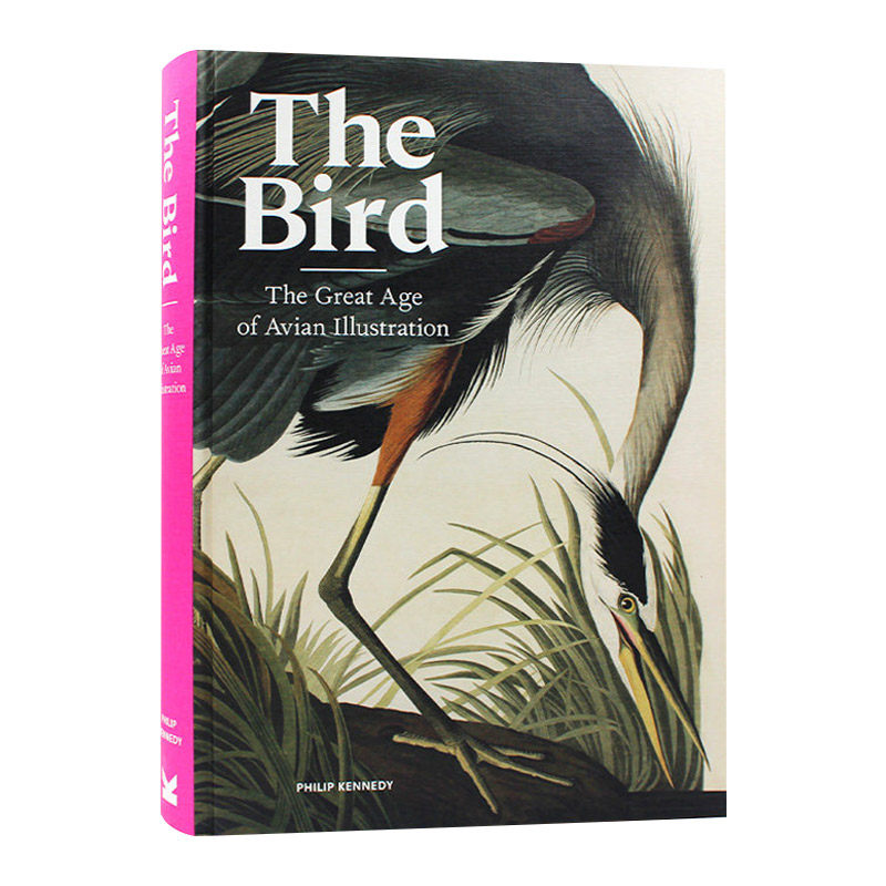 鸟类插画册 英文原版 The Bird 探索18 19世纪鸟类学插图的迷人世界 展示鸟类奇妙世界艺术画册书 英文版 进口英语原版书籍