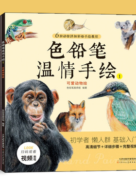 全4册色铅笔温情手绘可爱动物花草多肉甜点蔬果 零基础素描入门教程彩色铅笔新手入门教材速写成人自学绘画素描新手的自学天津人美