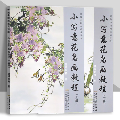小写意花鸟画教程上下册全2本 传统中国水墨画技法详解 成人初学者国画牡丹花鸟画自学入门零基础教程书美术绘画安徽美术