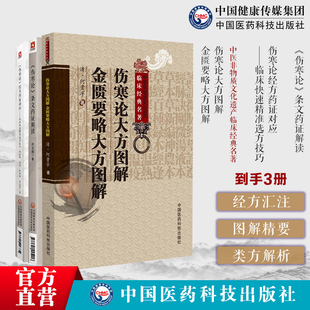 伤寒论条文药证解读伤寒论经方药证对应临床快速精准选方技巧伤寒运用经方临床经验药证伤寒论大方图解金匮要略大方图解归纳伤寒论