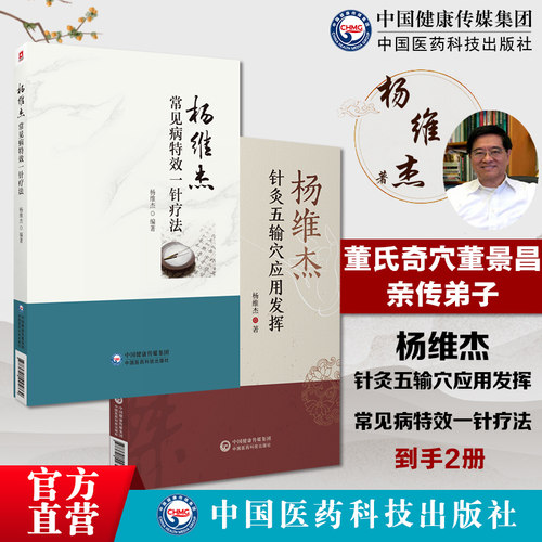 针灸大成董氏奇穴针灸学