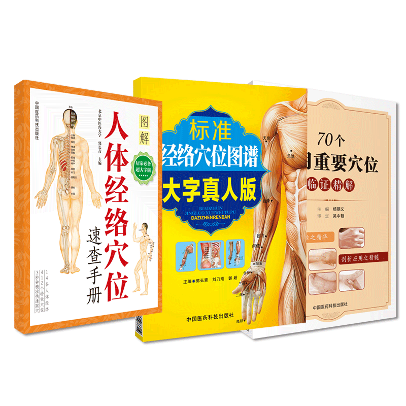 人体穴位标准经络图谱使用